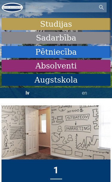 Mobile view